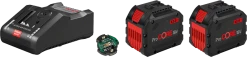 Bosch Bleu Accessoires 18 Volt 1600A016GY Pack 2 Batteries ProCORE 18V 12.0Ah + Chargeur + GAL 18V-160C
