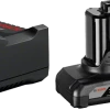 Bosch Bleu Accessoires 12 Volt 1600A01B20 Pack 2 Batteries GBA 12V 6.0 Ah + Chargeur GAL 12V-40
